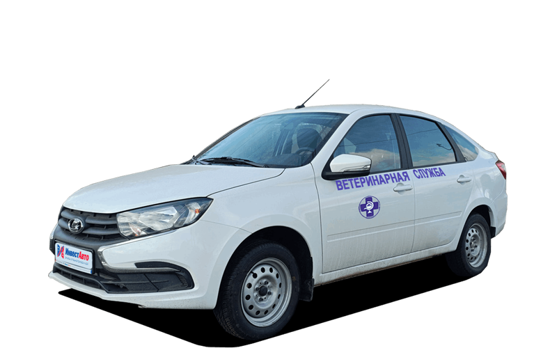 Ветеринарная служба Lada Granta 